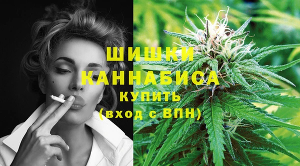 бошки Богданович