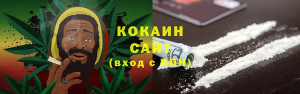 бошки Богданович
