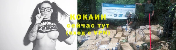 бошки Богданович
