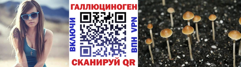 Псилоцибиновые грибы мухоморы даркнет сайт Мещовск